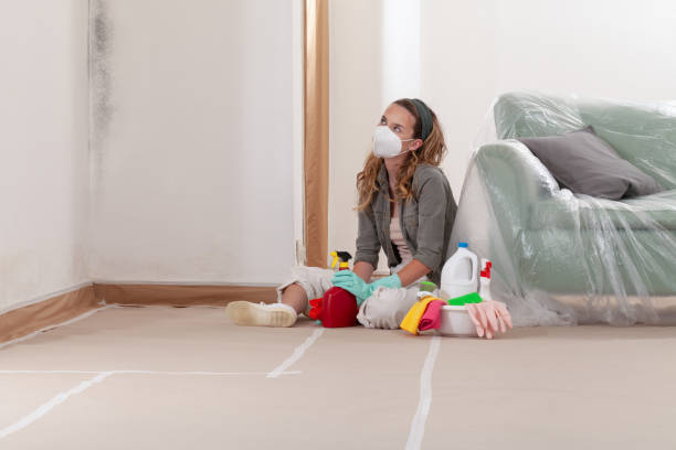 Reliable Black Mold Remediation contractor in Cumming, GA by 24 Hour Mold Removal